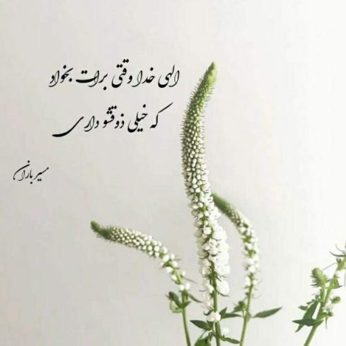 آهنگ افسرده از این عشق رسوا میروم با صدای زن