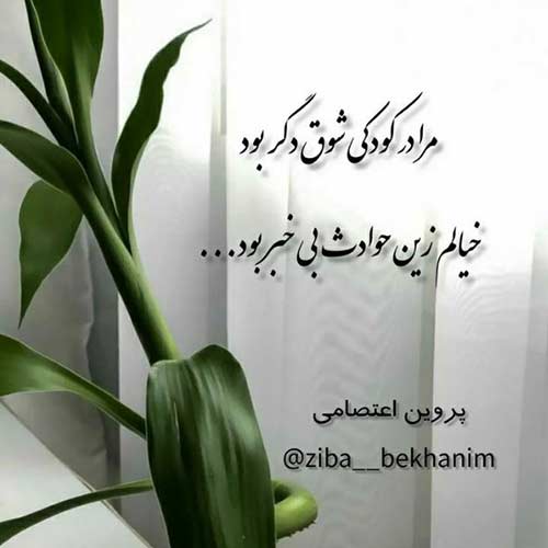 دانلود اهنگ واسه رسیدن به تو دیگه چیکار کنم امید نوری